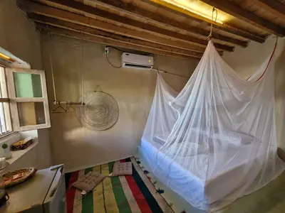 بومگردی نقش - واحد طرب