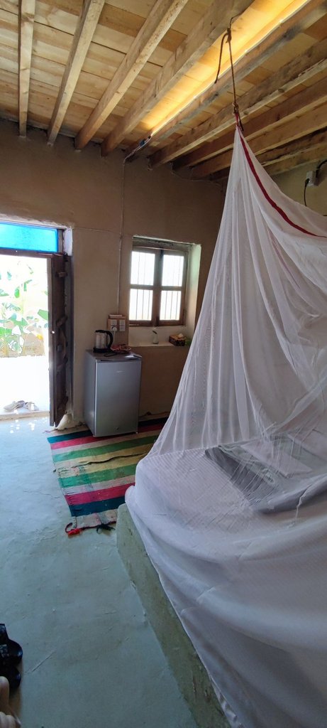 نقش - واحد طرب