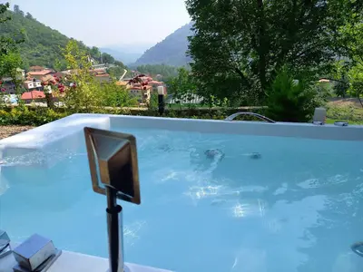 کلبه یک خوابه سوئیسی جکوزی دار دوقلو ها