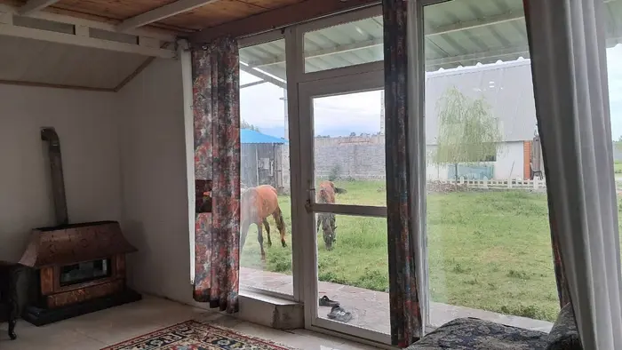 کلبه یک خوابه جنگلی افرا واحد 101 - هال و پذیرایی