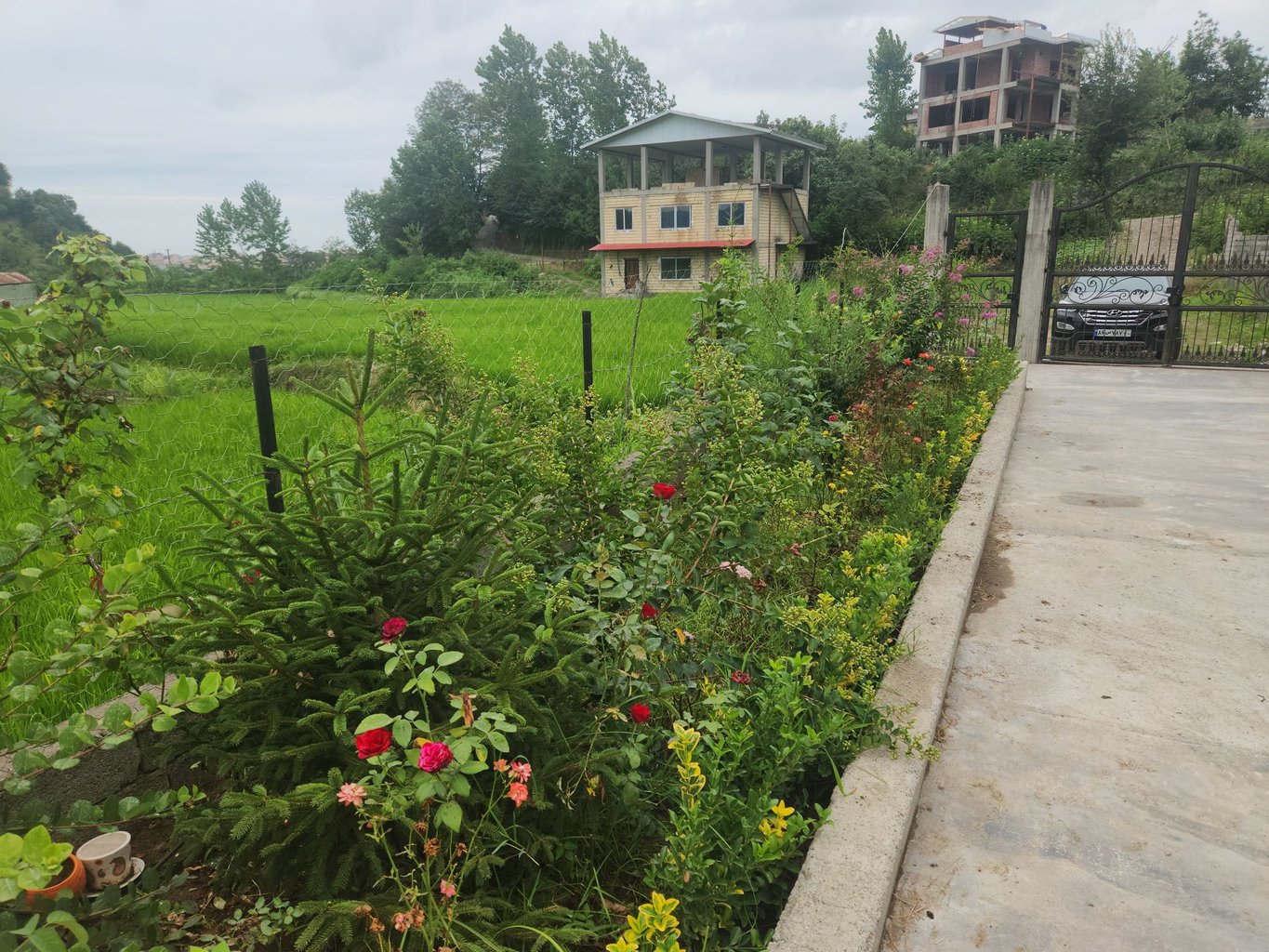 سوئیت فلت تارا