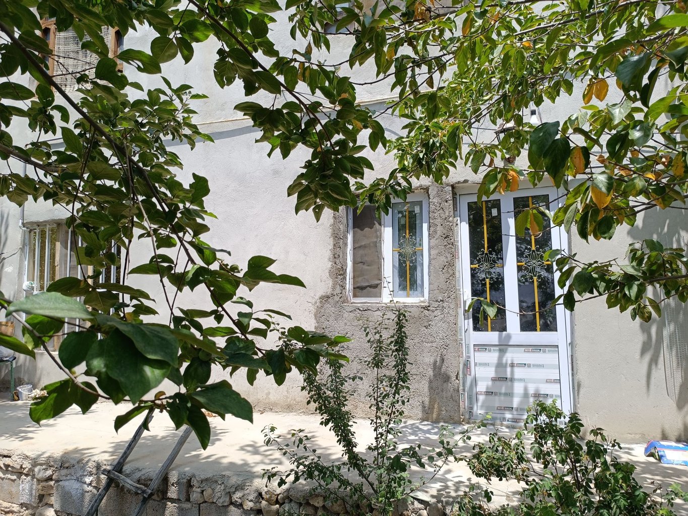 دوخوابه پاشا یکم