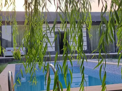 ویلا دوخوابه استخردار سرسبز 3