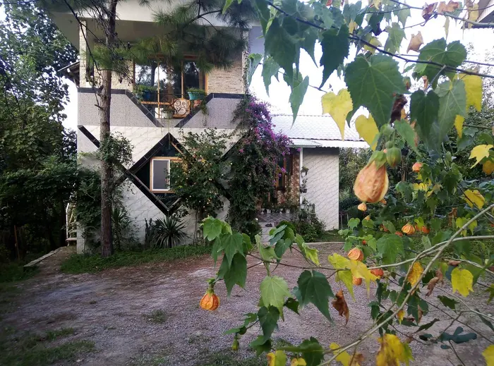 جنگلی اهورا طبقه دوم