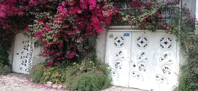 سوئیت دوخوابه احسان 25