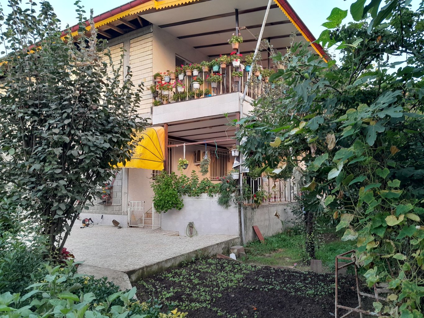 ویلا یک خوابه جنگلی ساجد