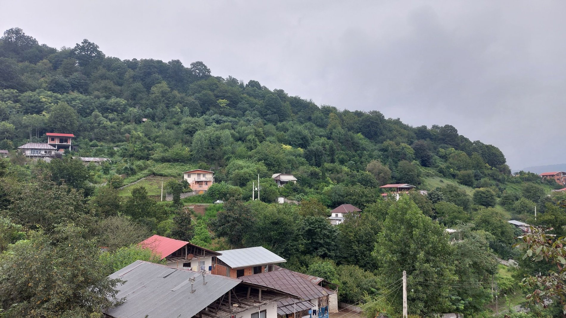 سوئیت فلت روستایی جنگلی لفور - منظره