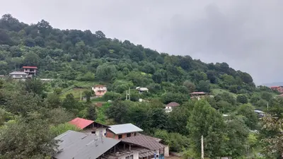 سوئیت فلت روستایی جنگلی لفور