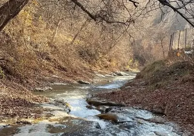 ویلا دوخوابه روستایی مراء