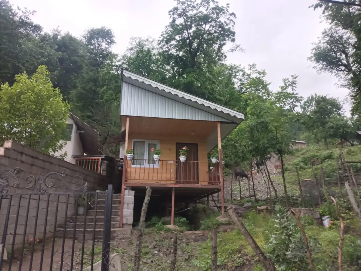 سوئیت فلت چوبی جنگلی توت نسا