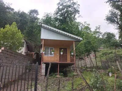 سوئیت فلت چوبی جنگلی توت نسا