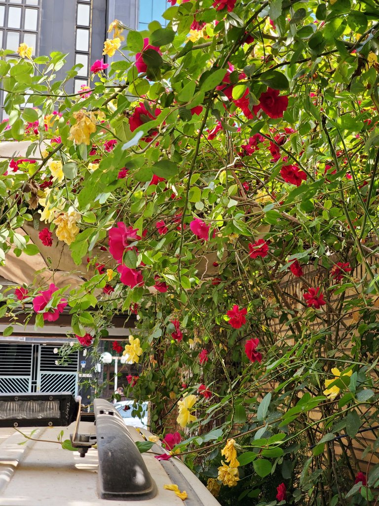 مجتمع اقامتی سپند نجات اللهی - واحد چهارتخته 3