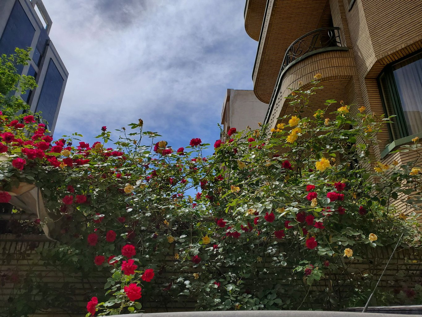 مجتمع اقامتگاهی سپند نجات اللهی - واحد چهارتخته 3