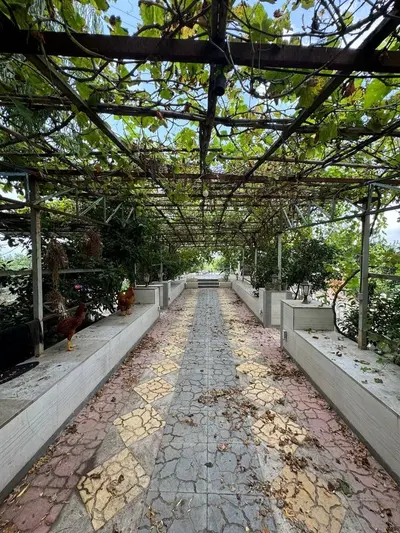 سوئیت یک خوابه پارادایز 1