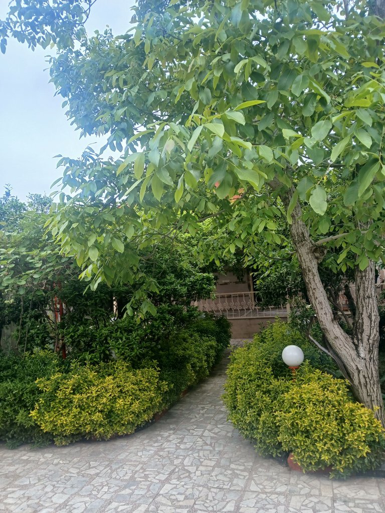 دوخوابه ساحلی بوستان 24