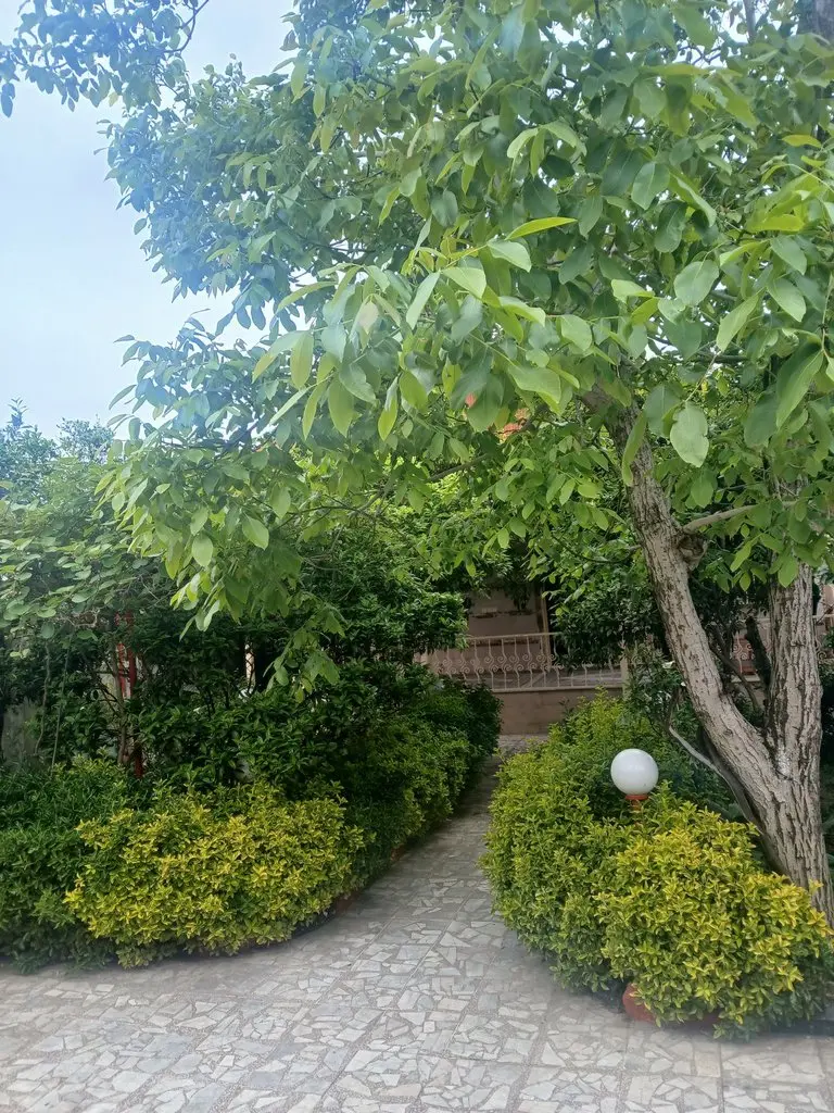 ویلا دوخوابه ساحلی بوستان 24 - پیش زمینه باشه لطفا