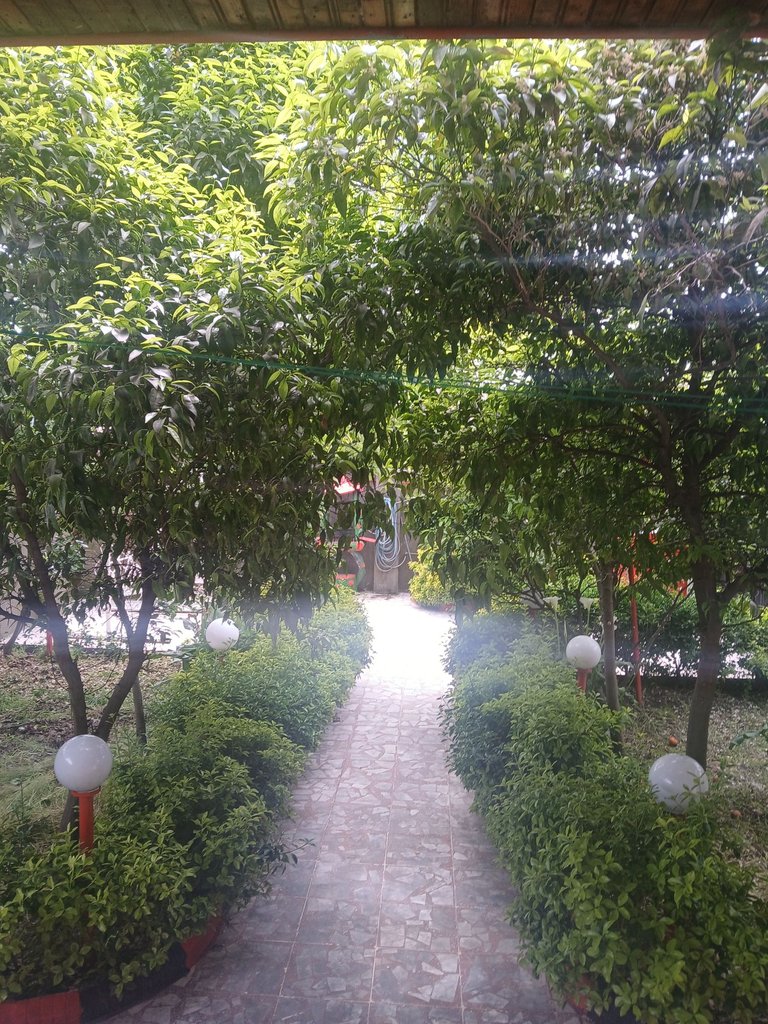 دوخوابه ساحلی بوستان 24