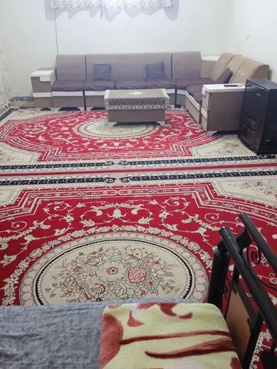 سوئیت یک خوابه فرهنگ ۲