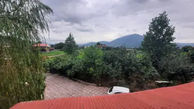 سوئیت یک خوابه جنگلی مهرسا