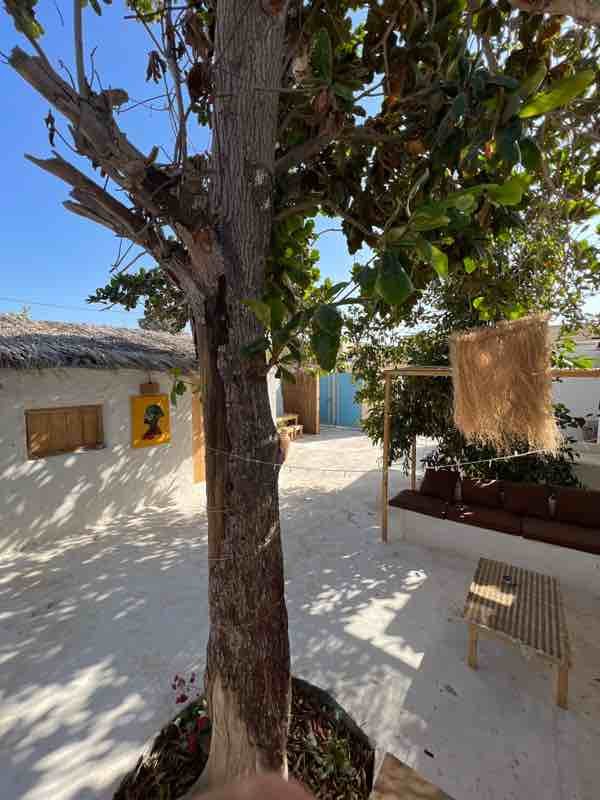 خانه شیوا - واحد زرد