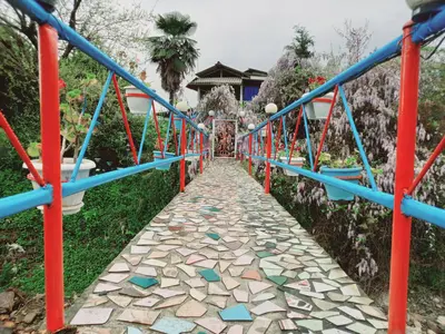 ویلا یک خوابه جنگلی جدیدی 1