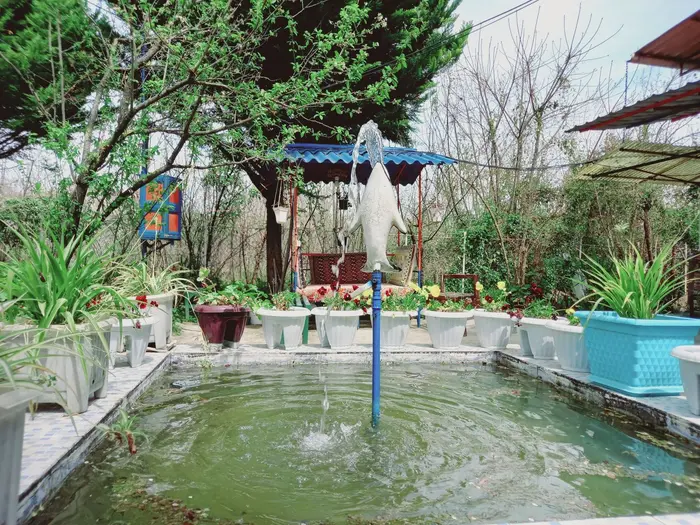 ویلا یک خوابه جنگلی جدیدی 1 - حیاط ویلا 