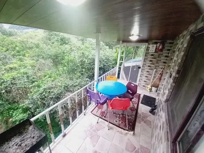 ویلا یک خوابه جنگلی جدیدی 2