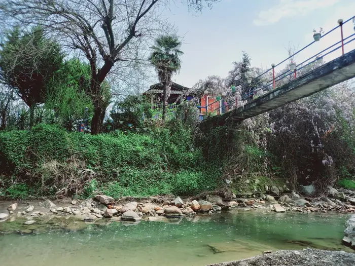 ویلا یک خوابه جنگلی جدیدی 1 - نمای بیرونی ویلا 