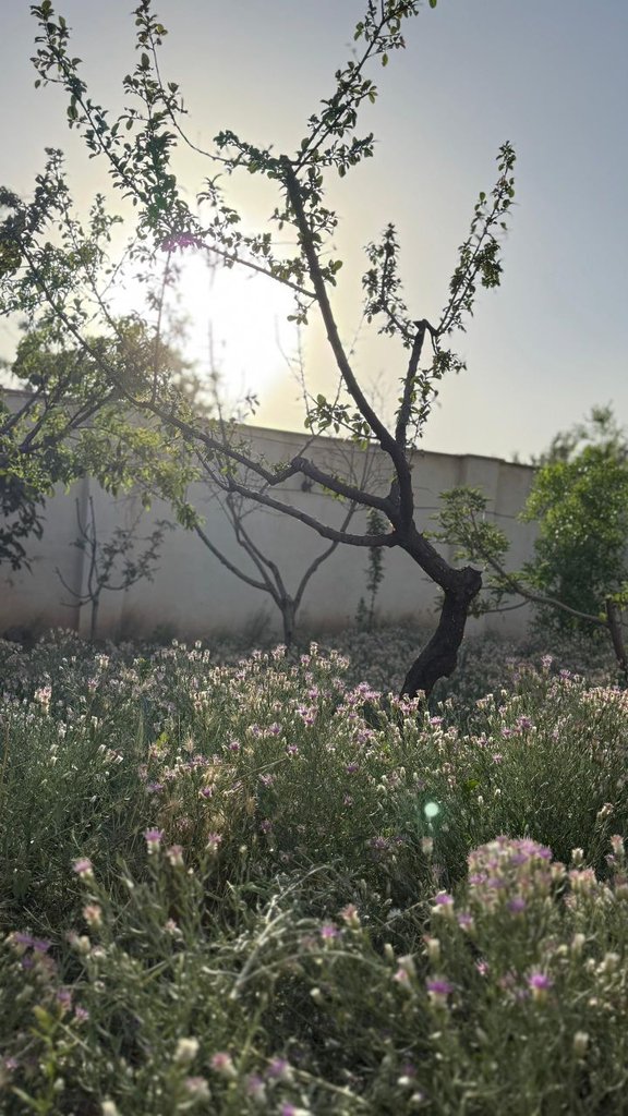 دوخوابه محسن زاده