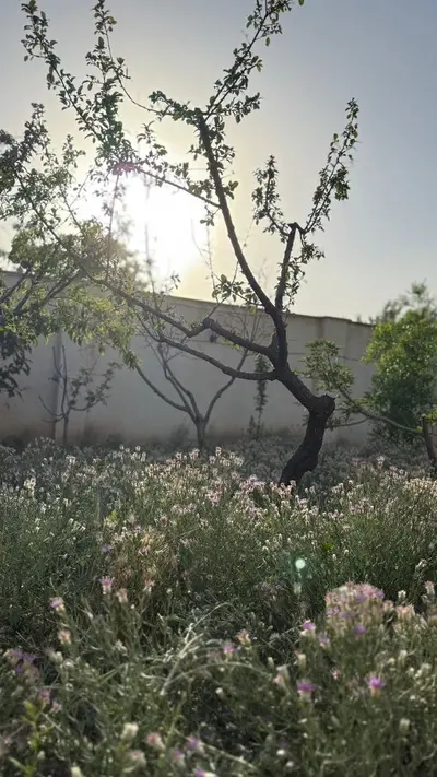 ویلا دوخوابه محسن زاده