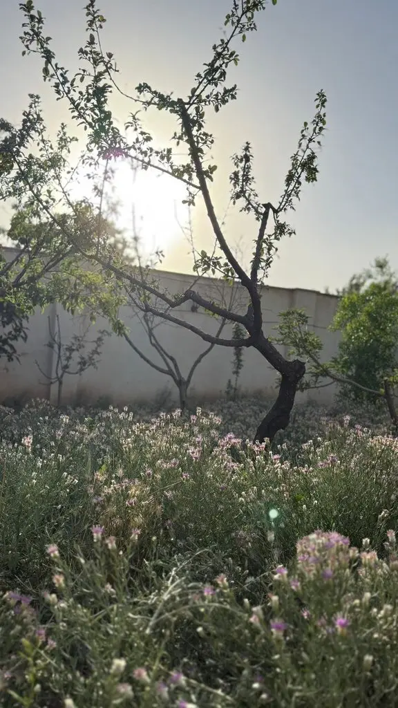 ویلا دوخوابه محسن زاده