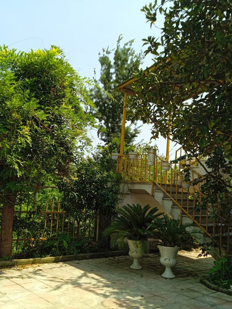 ویلا دوخوابه مینا