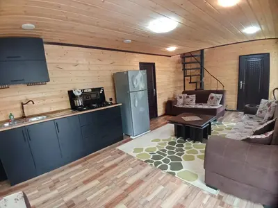 کلبه دوخوابه سوئیسی خاتون