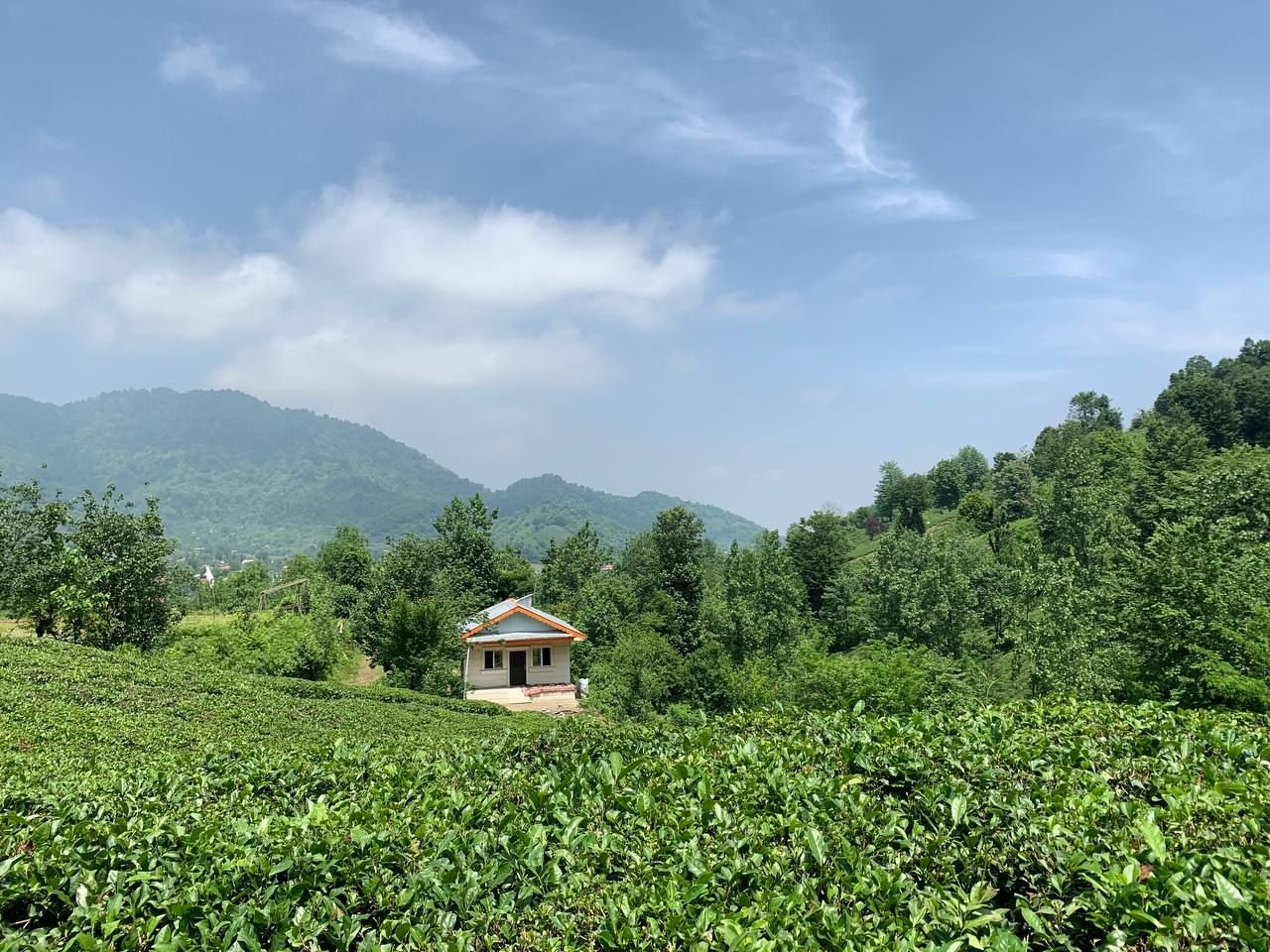 ویلا یک خوابه ی بهشت قلعه رودخان