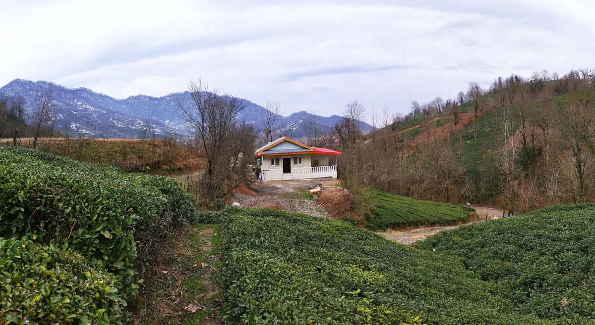 ویلا دوخوابه جنگلی بهشت 6