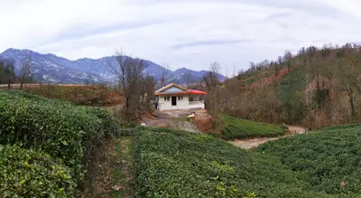 ویلا دوخوابه جنگلی بهشت 6