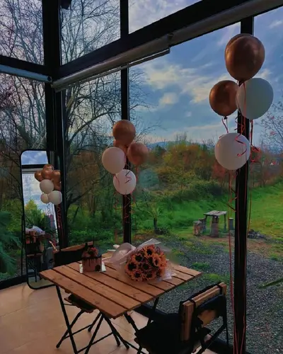 کلبه یک خوابه سوئیسی دلیجان