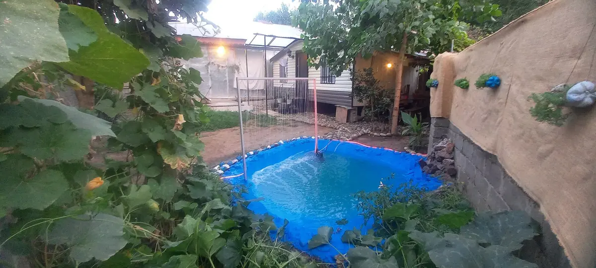 کلبه یک خوابه نوپاشان - نمای حیاطو کلبه از پشت برکه