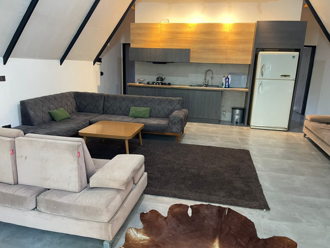 کلبه دوخوابه سوئیسی کنار رود