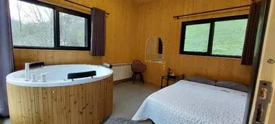 کلبه دوخوابه جنگلی سوئیسی پونل