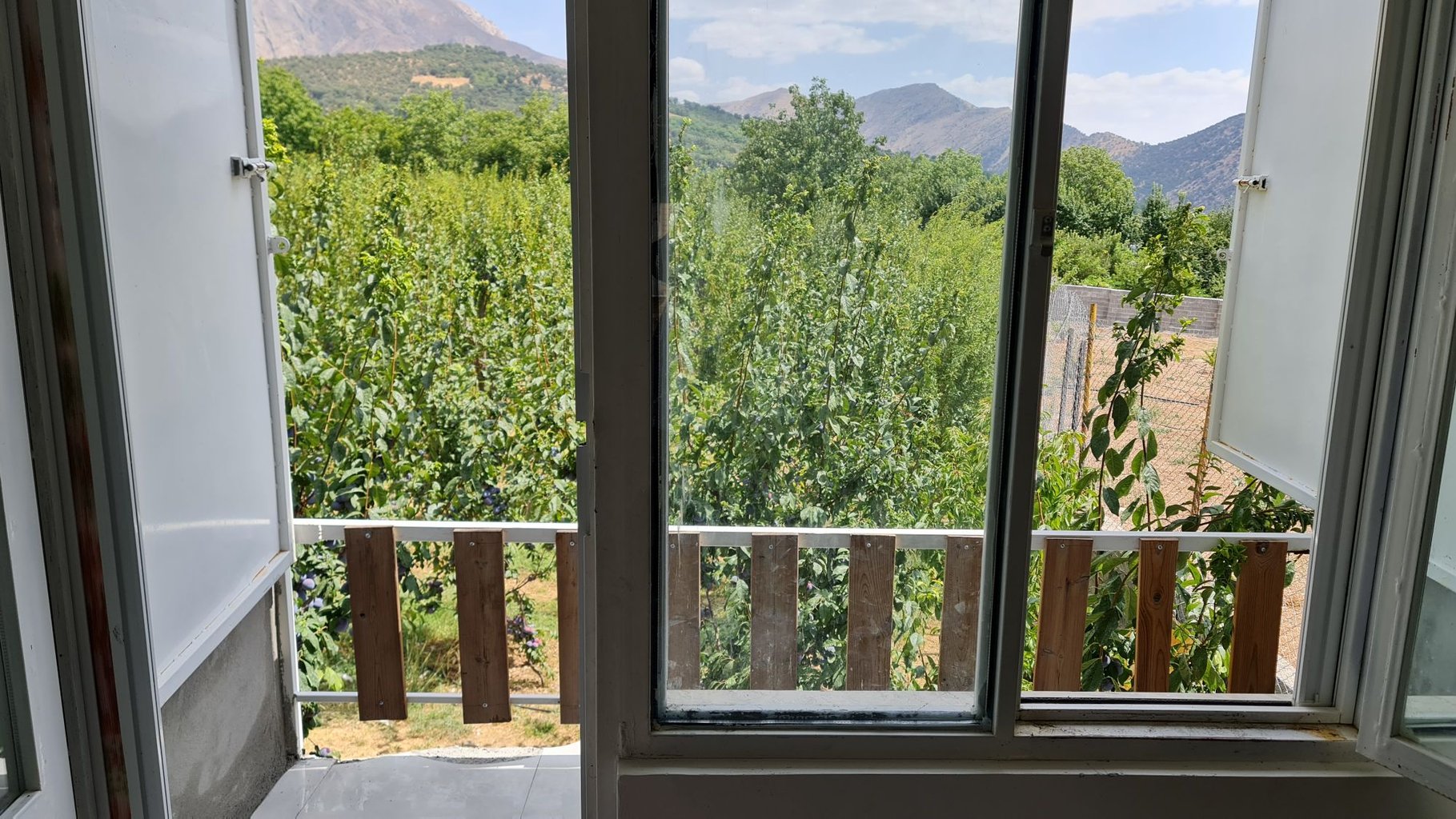 یک خوابه بلوط 6