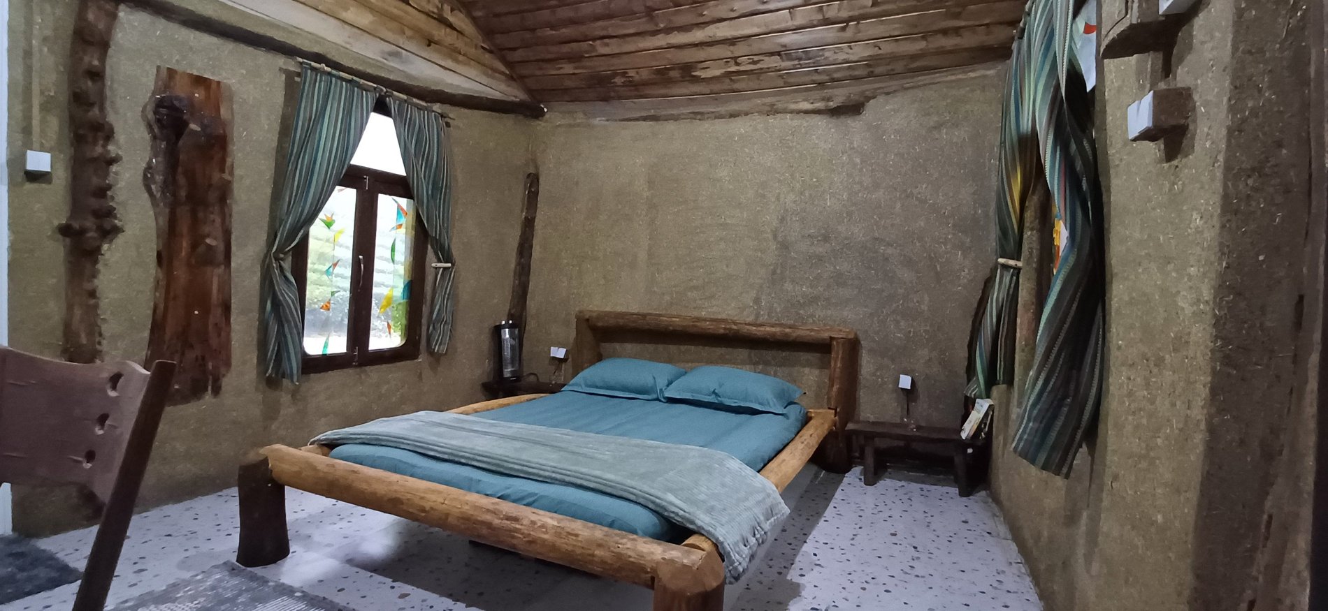 فلت جنگلی دلین