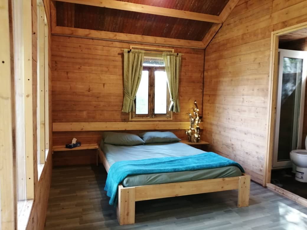 فلت درختی دهکده ما