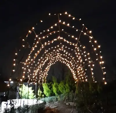 کلبه فلت جنگلی دلین