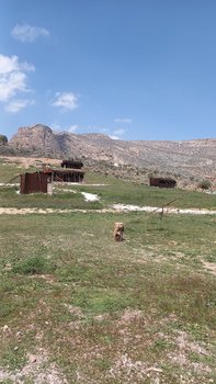 مجتمع اقامتگاهی ایل یورد - واحد سنگی