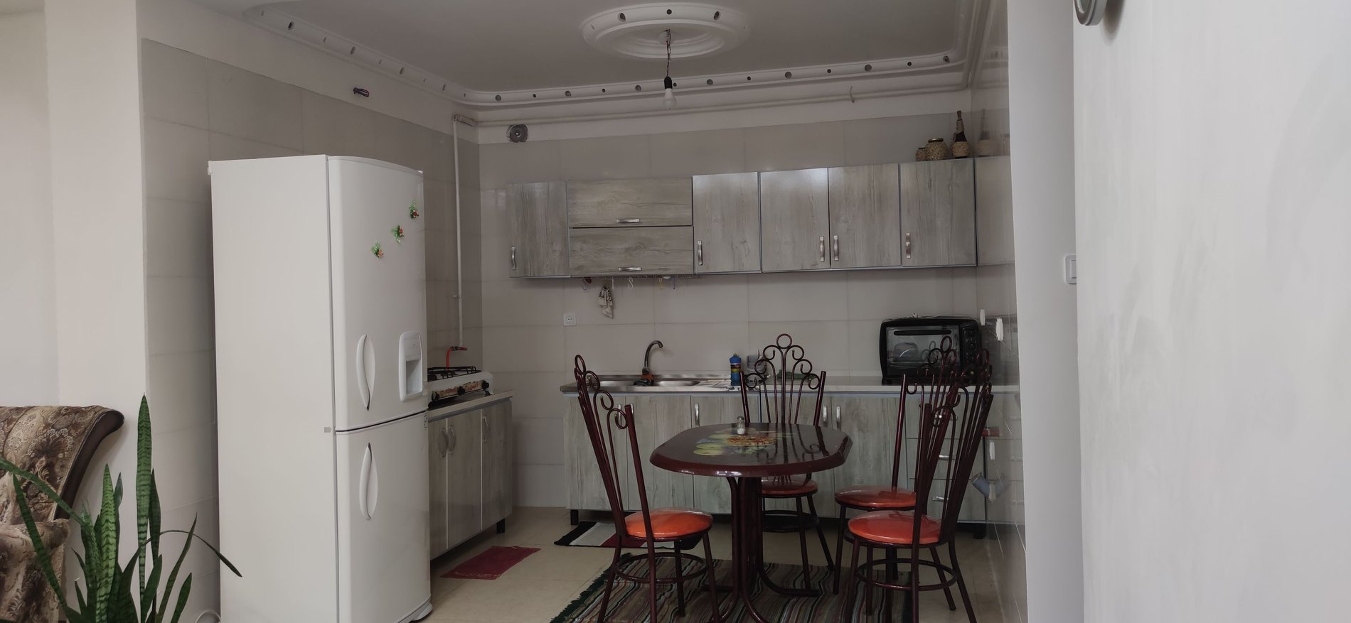 دوخوابه جنگلی سعیدی تنیانی