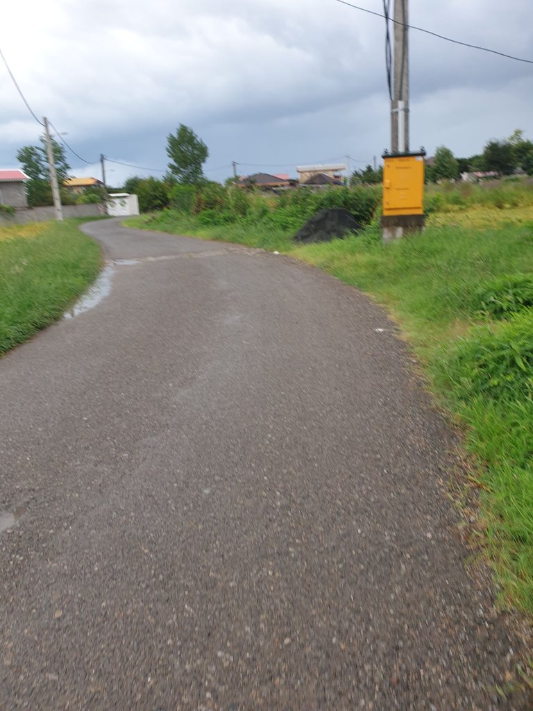 دوخوابه گنجی پور