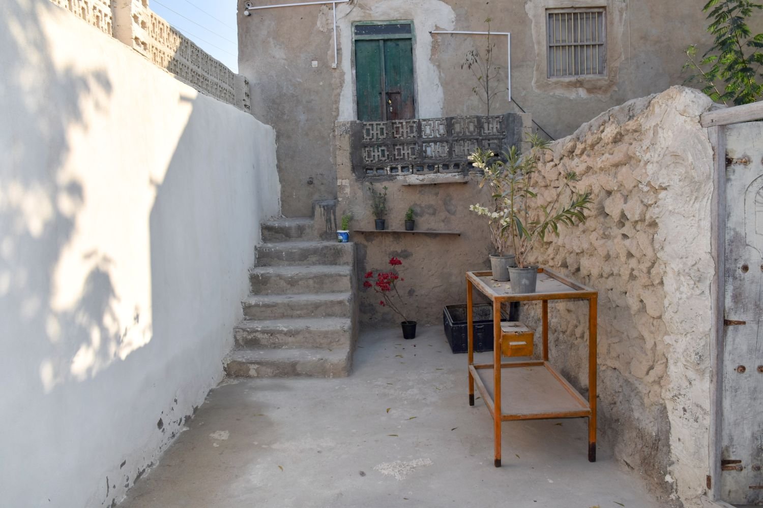 Image 3