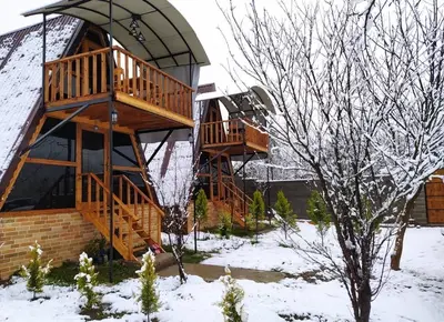 کلبه یک خوابه جنگلی سوئیسی دامون