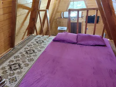 کلبه یک خوابه جنگلی سوئیسی دامون